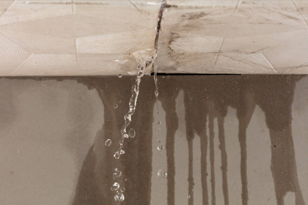 Professional Water Damage Inspection technician working in Rockvale, TN